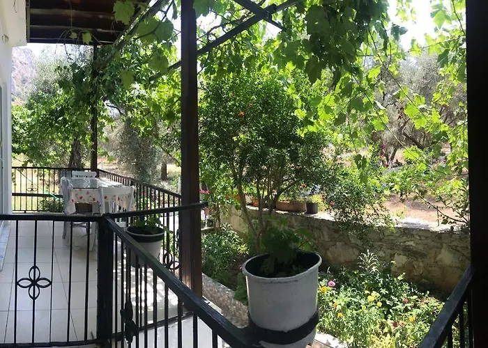 Marti * Oren (Milas)