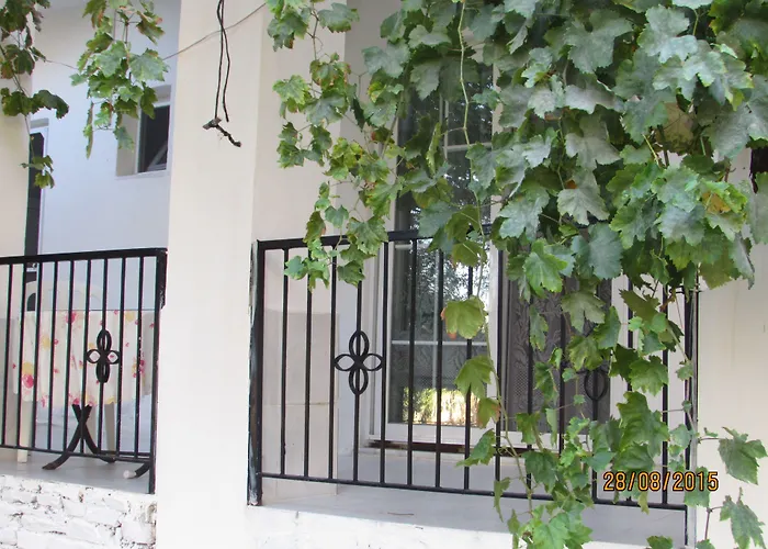 Marti * Oren (Milas)